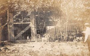 Red Lion Pennsylvania Dog Kennel Farm Real Photo Antique Postcard K95697