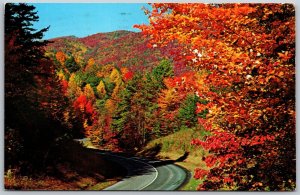 Vtg Tennessee TN Fall Colors Leaves Great Smoky Mountains National Park Postcard