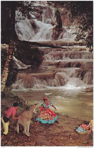 You can lead a donkey to the Dunns River Falls in Jamaica, 40-60s