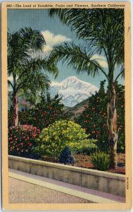 Postcard - The Land of Sunshine, Fruits and Flowers - Southern California