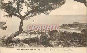 Old Postcard MONTE CARLO - View from Beausoleil between Pins