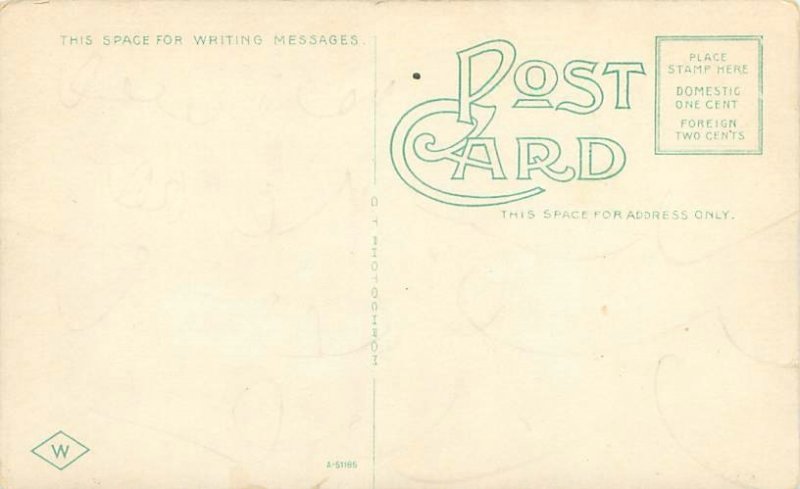 Columbus IN Washington St Looking North Litho Postcard Unused