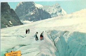 1980s Columbia Icefield Banff-Jasper Highway Alberta Canada Postcard