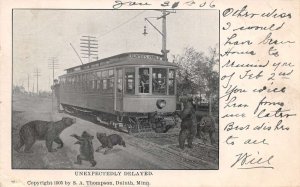 Hunters Park Minnesota Trolley Unexpectedly Delayed Bears Postcard AA68772