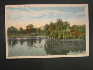 INDIAN LAKE OH Swans c1920 Postcard