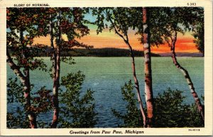 Vtg Scenic Greetings from Paw Paw Michigan MI Morning Glory 1940s Linen Postcard