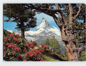 Postcard Matterhorn Mont Cervin Europe