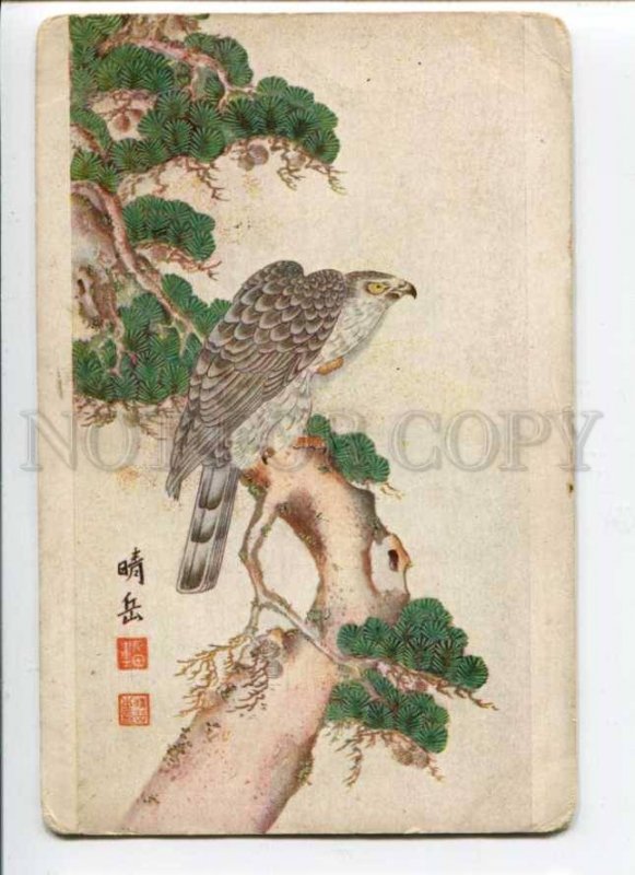 289003 KAKEMONO japanese picture FALCON russian St.Eugenie Red Cross postcard