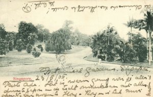 PC CPA SINGAPORE, BOTANICAL GARDENS, Vintage Postcard (b18699)