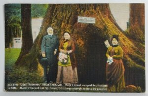 Santa Cruz California Gen'l Tremont Big Tree Hollow Burned Out Fire Postcard S19