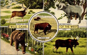 Animals Wild Game Of The West Bear Moose Buffalo Big Horn Sheep & Deer