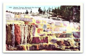 Hyman Terrace Mammoth Hot Springs Yellowstone National Park Wyoming Postcard