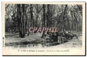 Old Postcard The Bois de Boulogne in Autumn Fall Mare aux Biches