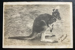 Mint Australia Real Picture Postcard RPPC Troops In France Kangaroo