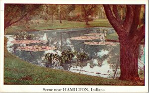 Hamilton Indiana Note on Back Writting WOB Postcard UNP Scene Pond Lily Pad Vtg 