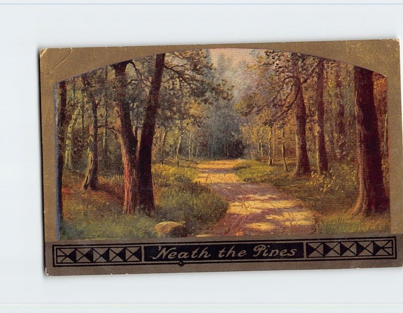 Postcard 'Neath the Pines