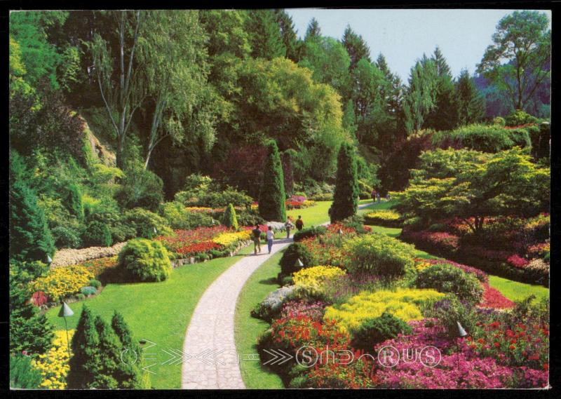 The Sunken Garden