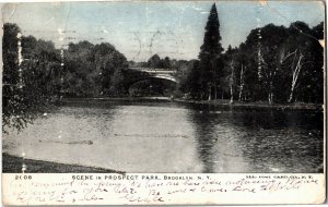 Scene in Prospect Park, Brooklyn NY c1905 Undivided Back Vintage Postcard N40