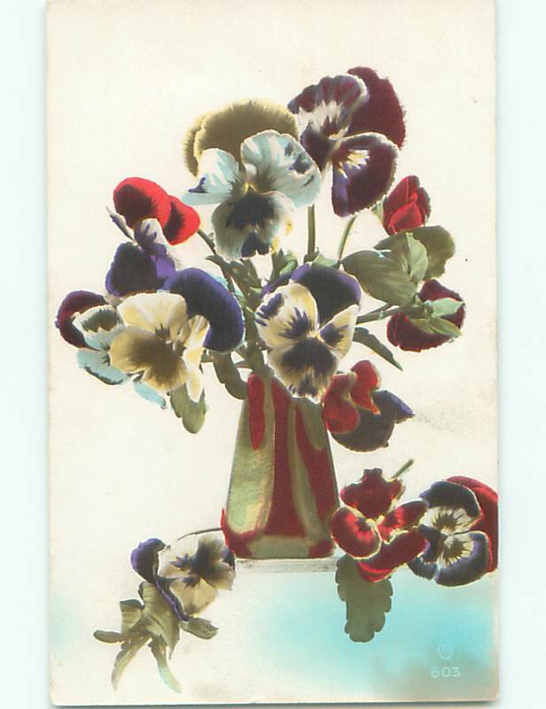 tinted rppc c1910 BEAUTIFUL FLOWERS AC9259
