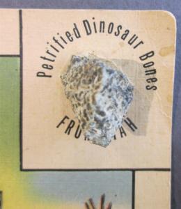 Postcard UT Utah Map Real Petrified Dinosaur Bone Attachment T-Rex c1940s Z1