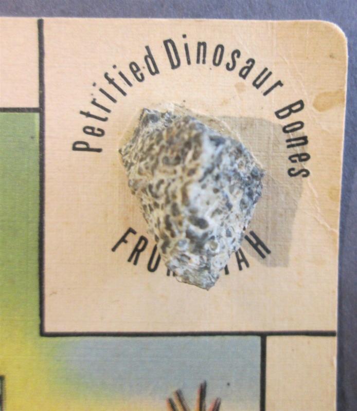 Postcard UT Utah Map Real Petrified Dinosaur Bone Attachment T-Rex c1940s Z1