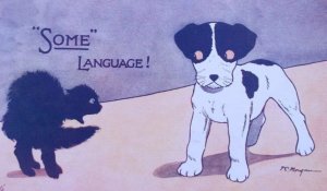 c1920 Vintage Black Cat Dog Some Language Comic Cat F. E. Morgan Tuck Postcard