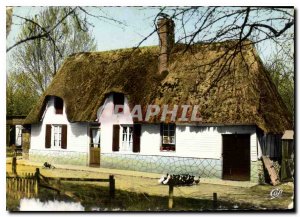 The Modern Postcard Lush Normandy House Norman to Thatch roof