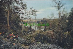 Cornwall Postcard - St Just-In-Roseland SW6304