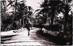 Algeria Scènes et Types Route dans l'Oasis Vintage RPPC C163