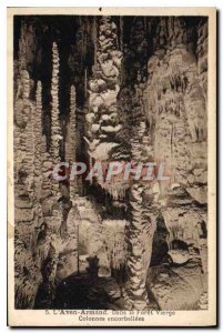 Old Postcard Cave Caves Aven Armand In the virgin forest Columns corbelled