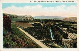 Orchard Scene in Beautiful Yakima Valley WA Washington Unused Postcard H10