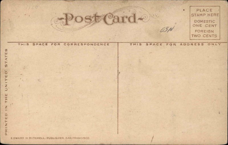 Boise Idaho ID State Penitentiary 1900s-10s Postcard