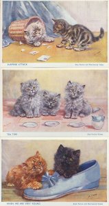 Black Blue Persian Cat Kitten Ballet Shoe Slipper 3 Salmon Old Postcard s