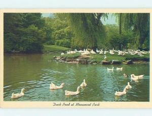 Unused Pre-1980 DUCK POND AT PARK Canton Ohio OH H1823@