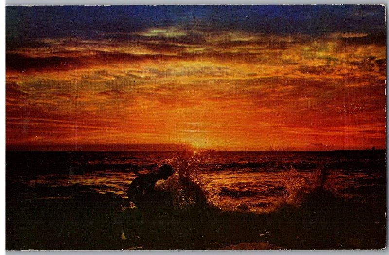 Splashing Waves and Evening Seas Reflect Rays of the Setting Sun Hawaii Postcard