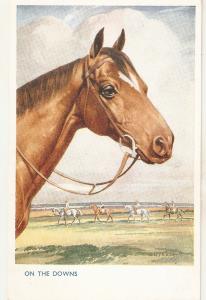 Horses. On the Dpwns Nice J. Salmon Postcard. Artist signed.