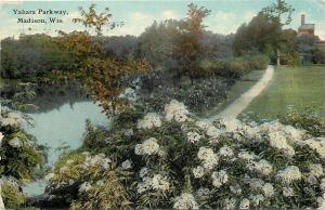 Madison Wisconsin~Yahara Parkway~Flowered Path Along River~1911 Postcard 