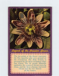 Postcard Legend of the Passion-Flower, Florida