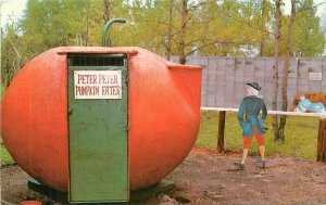 Bay City Michigan Children's Amusement Peter Pumpkin Eater Postcard 21-13226