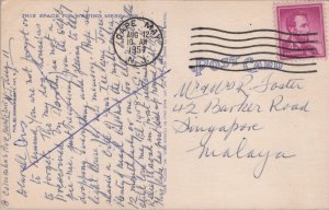 Greetings From Cape May New Jersey Linen Postcard C201