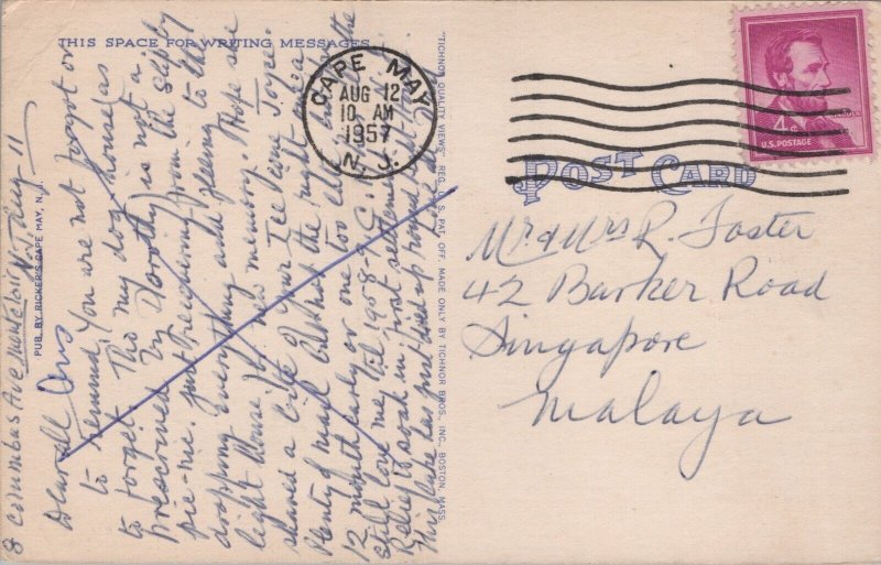 Greetings From Cape May New Jersey Linen Postcard C201