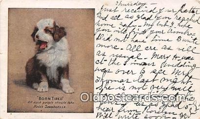 Born Tired Hood's Sarsaparilla Dog 1908 