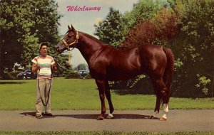 Whirlaway Louisville, KY, USA Horse Racing Trotter, Unused 