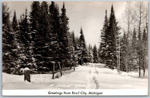 Vtg Reed City Michigan MI Snow Trail Winter Scene RPPC Real Photo Postcard