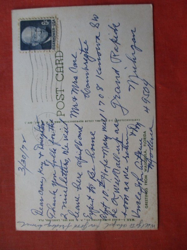 Street View Wauchula  Florida. H-2