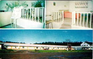 Antigonish, Nova Scotia Canada  DINGLE MOTEL Room/TV ROADSIDE  ca1950's Postcard