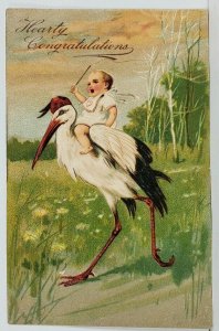 Congratulations Baby Riding Stork 1907 Embossed to Peruville Postcard M13