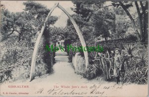 Gibraltar Postcard - The Whale Jaw's Arch   RS33130