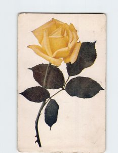 Postcard Greeting Card with Yellow Rose Art Print