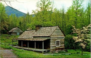 Junglebrook Great Smokey Mountains National Park Tennessee Chrome Postcard